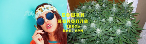 spice Арсеньев