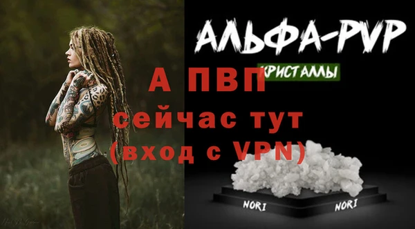 spice Арсеньев