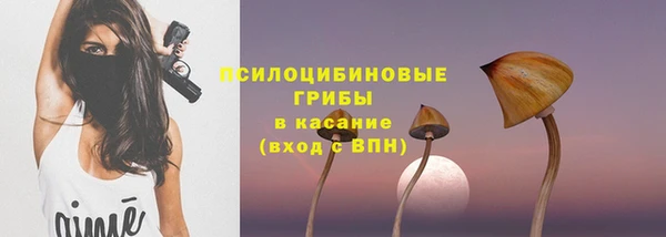 spice Армянск
